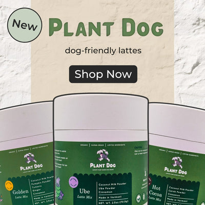 Plant Dog latte drinks for dogs