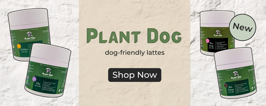 Plant Dog latte drinks for dogs